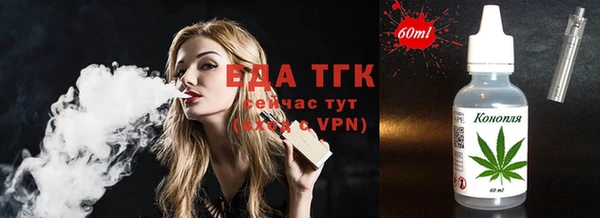 спиды Бородино