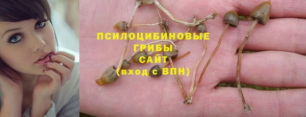 прущие крисы Верхний Тагил