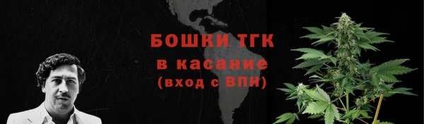 шишки Бугульма