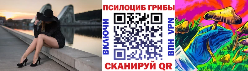 купить закладку даркнет формула Псилоцибиновые грибы MAGIC MUSHROOMS Елизаветинская