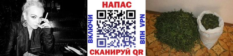 Конопля Amnesia Елизаветинская